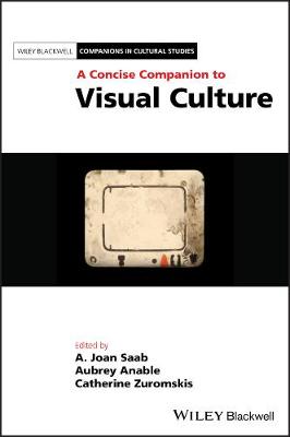 Blackwell Companions in Cultural Studies #: A Concise Companion to Visual Culture
