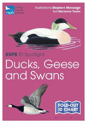 RSPB #: RSPB ID Spotlight - Ducks, Geese and Swans  (Fold-out book or chart)