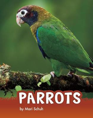 Animals: Parrots