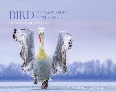 Bird Photographer of the Year 2019