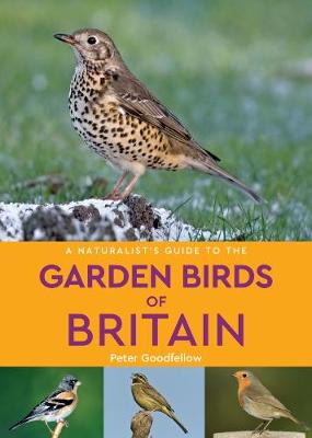 Naturalist's Guide #: A Naturalist's Guide to the Garden Birds of Britain and Northern Europe  (2nd Edition)