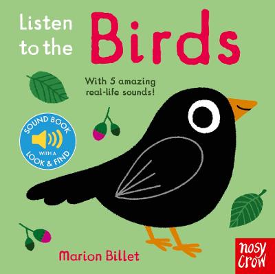 Listen to the...: Listen to the Birds