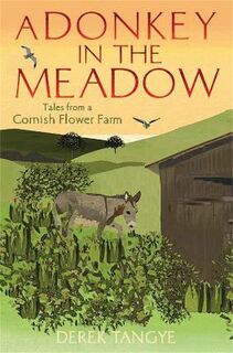 Minak Chronicles #04: A Donkey in the Meadow