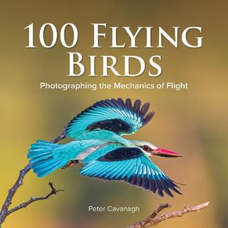 100 Flying Birds