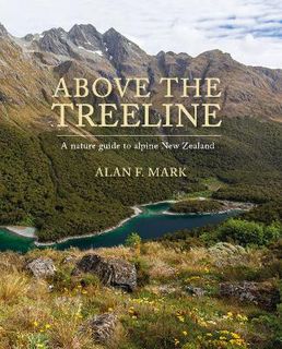 Above the Treeline
