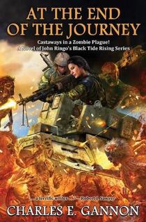 Black Tide Rising #09: At the End of the Journey