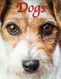 Animals: Dogs