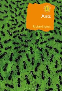 British Wildlife Collection #: Ants