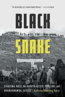 Black Snake