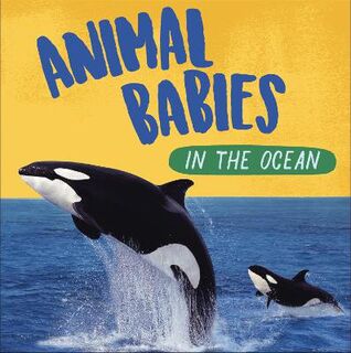 Animal Babies: In the Ocean