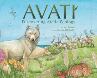 Avati