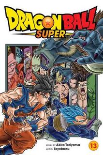 Dragon Ball Super, Vol. 13 (Graphic Novel)