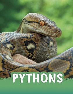 Animals: Pythons