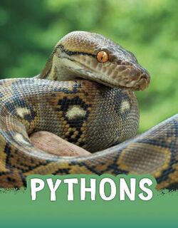 Animals: Pythons