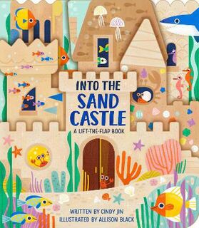 Into the Sand Castle (Lift-the-Flap)