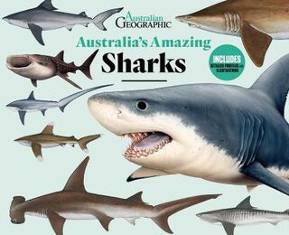 Australia's Amazing Sharks