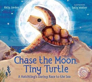 Chase the Moon, Tiny Turtle