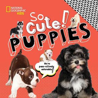So Cute: Puppies