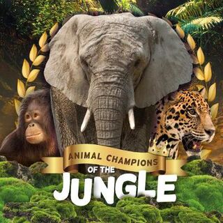 Animal Champions of the: Jungle