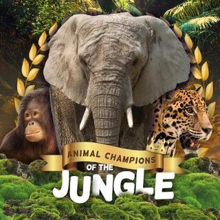 Animal Champions of the: Jungle