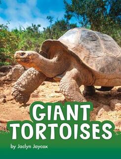 Animals: Giant Tortoises