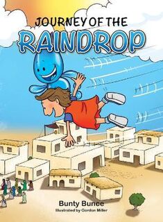 Journey of the Raindrop
