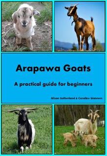Arapawa Goats