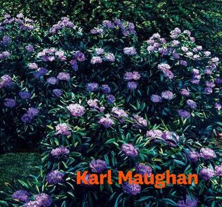 Karl Maughan