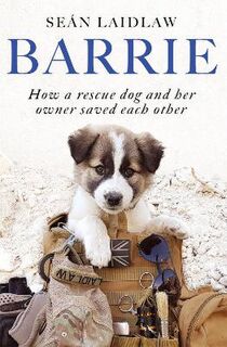 Barrie: How a Rescue Dog and Her Owner Saved Each Other