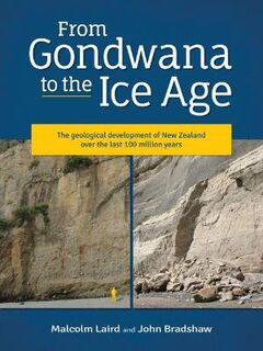 From Gondwana to the Ice Age