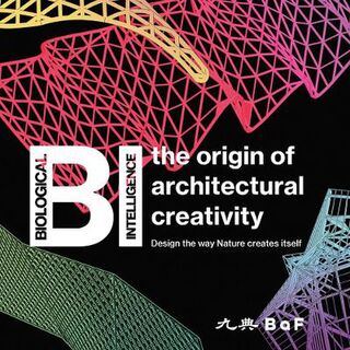 BI: Origin of Architectural Creativity