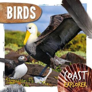 Coast Explorer: Birds