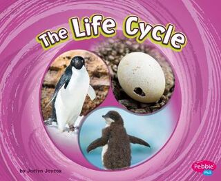 Cycles of Nature: The Life Cycle
