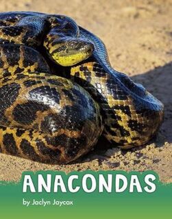 Animals: Anacondas