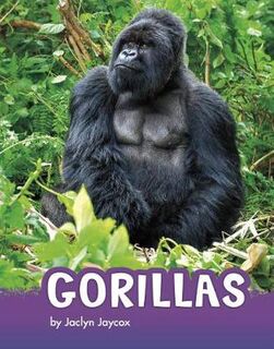 Animals: Gorillas