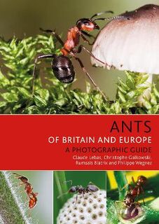 Ants of Britain and Europe