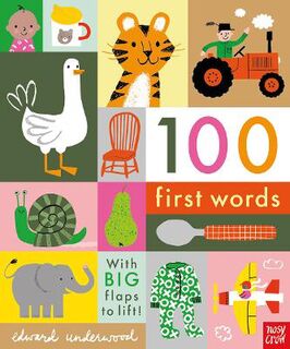 100 First Words (Lift-the-Flap Board Book)