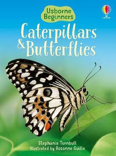 Beginners: Caterpillars And Butterflies