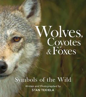 Favorite Wildlife #: Wolves, Coyotes & Foxes