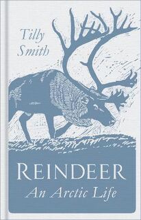 Reindeer