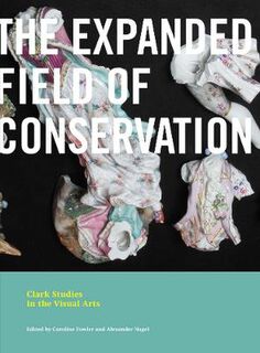 Clark Studies in the Visual Arts #: The Expanded Field of Conservation