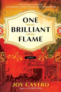 One Brilliant Flame
