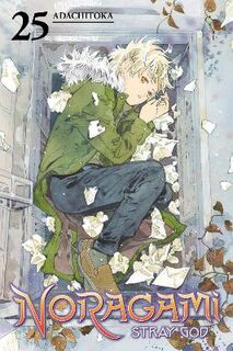 Noragami (Graphic Novels) #25: Noragami: Stray God Vol. 25 (Graphic Novel)