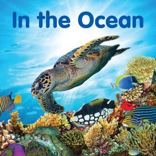 In the Ocean
