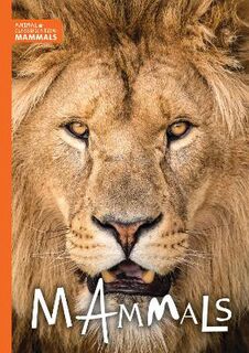 Animal Classification: Mammals
