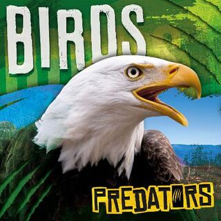 Predators: Birds