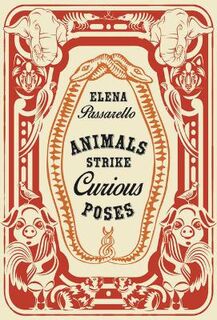 Animals Strike Curious Poses