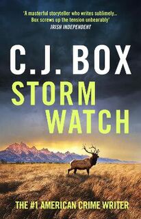 Joe Pickett #23: Storm Watch