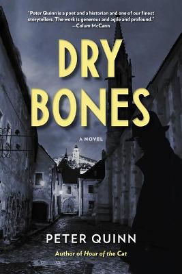 Fintan Dunne #03: Dry Bones