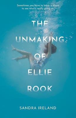 Unmaking of Ellie Rook, The